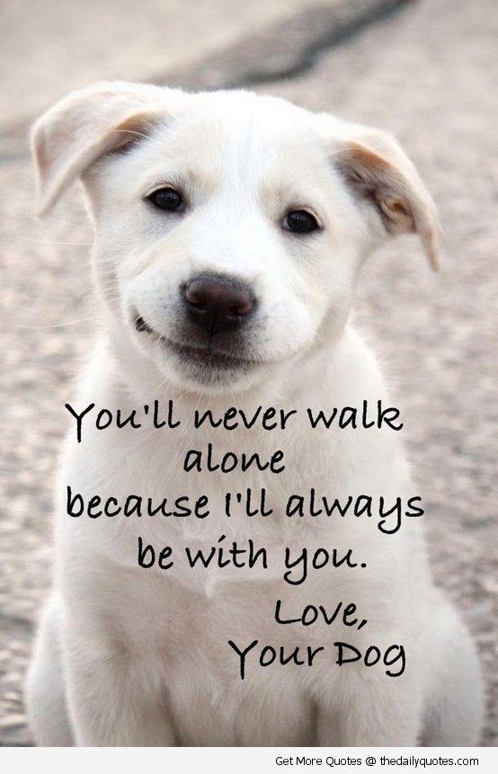 Sweet Quotes About Dogs. QuotesGram