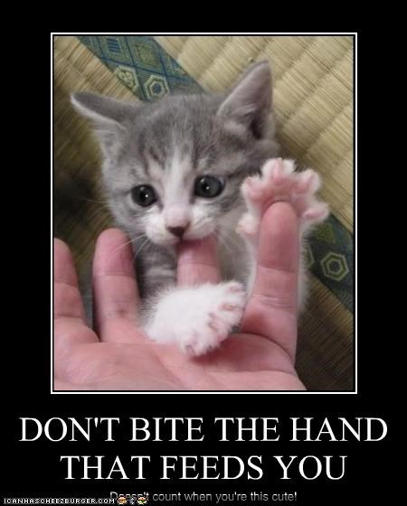 Dont Bite The Hand That Feeds You Quotes. QuotesGram