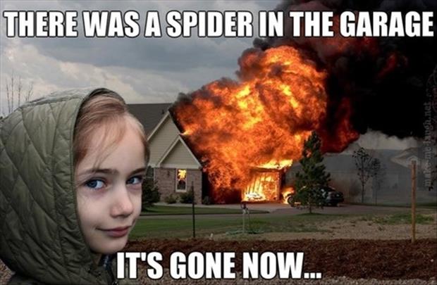 Quotes About Killing Spiders Quotesgram