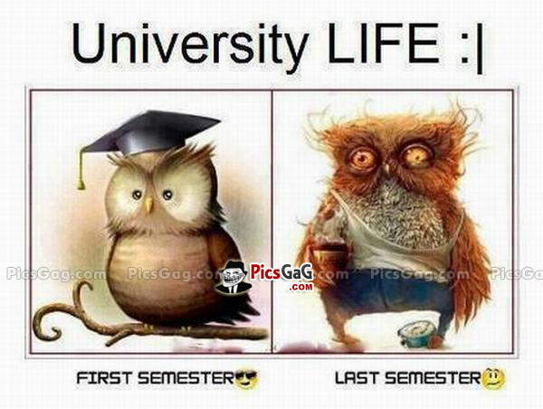 Quotes About Student Life QuotesGram