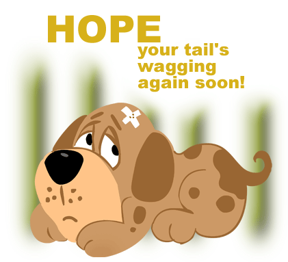 Sooni Love You Quotes I Hope You Feel Better Quotesgram