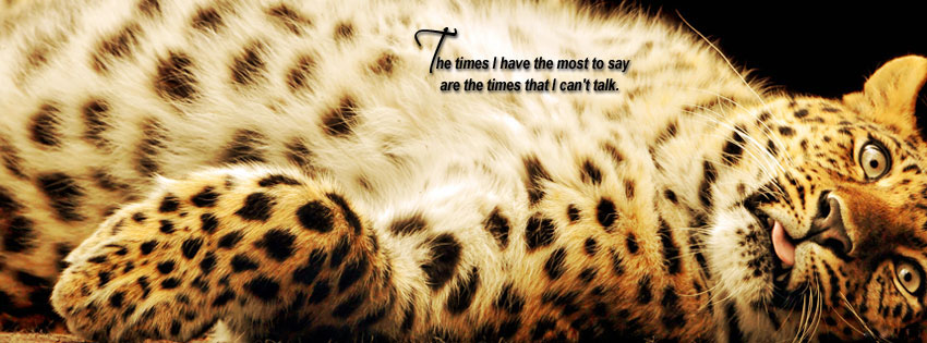 Positive Quotes Facebook Covers Quotesgram Positive Quotes Facebook Covers Quotesgram