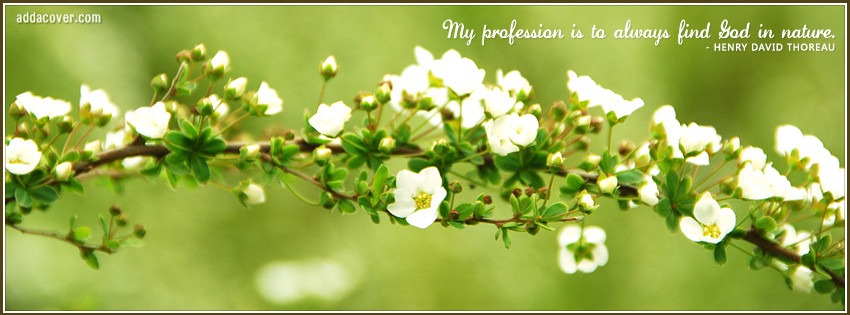 facebook cover photos nature with quotes