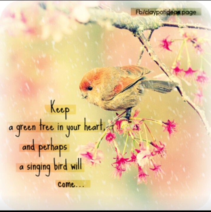 Singing Birds Quotes. QuotesGram