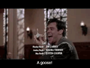 Jim Carrey Liar Liar Stop Breaking The Law Quotes Quotesgram Jim Carrey Liar Liar Stop Breaking The Law Quotes Quotesgram