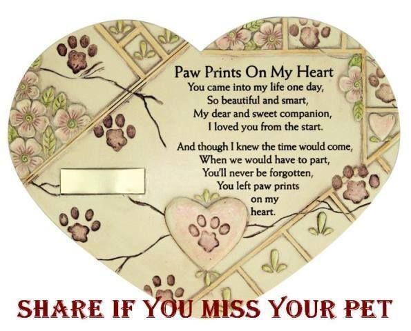 You are Always in My Heart Puppy Dog Paw Keychain 113U 