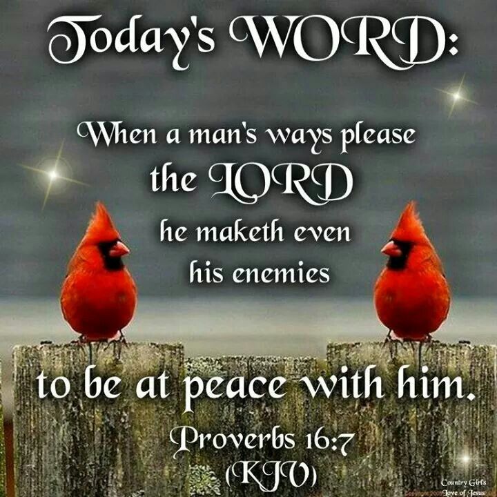 Proverb Kjv Love Bible Quotes QuotesGram pin-on-free-sermons