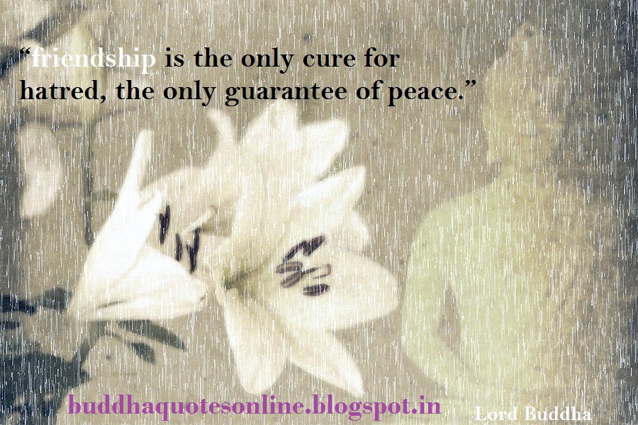 Buddha Friendship Quotes Quotesgram