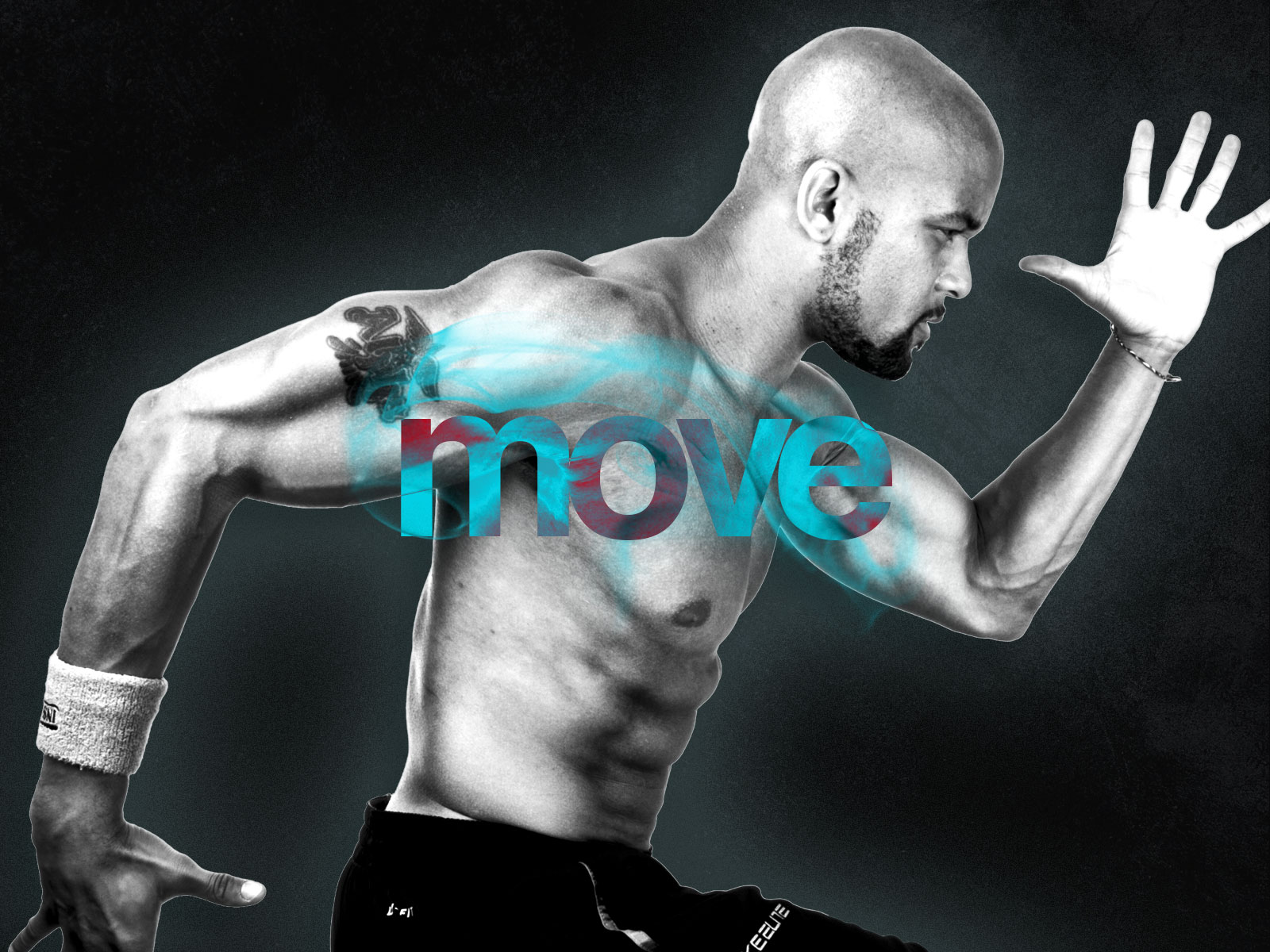 focus t25 workout torrent focus t25 workout torrent