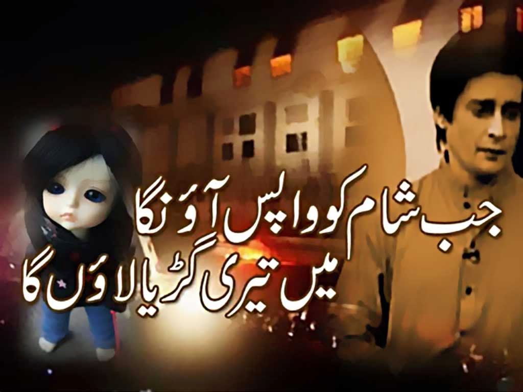 Dear Diary Quotes In Urdu. QuotesGram