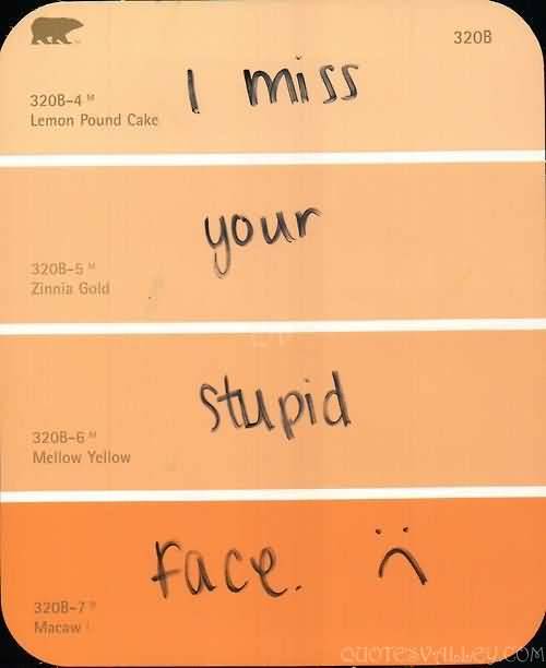 pics Funny I Miss Your Face Quotes miss your face quotes quotesgram