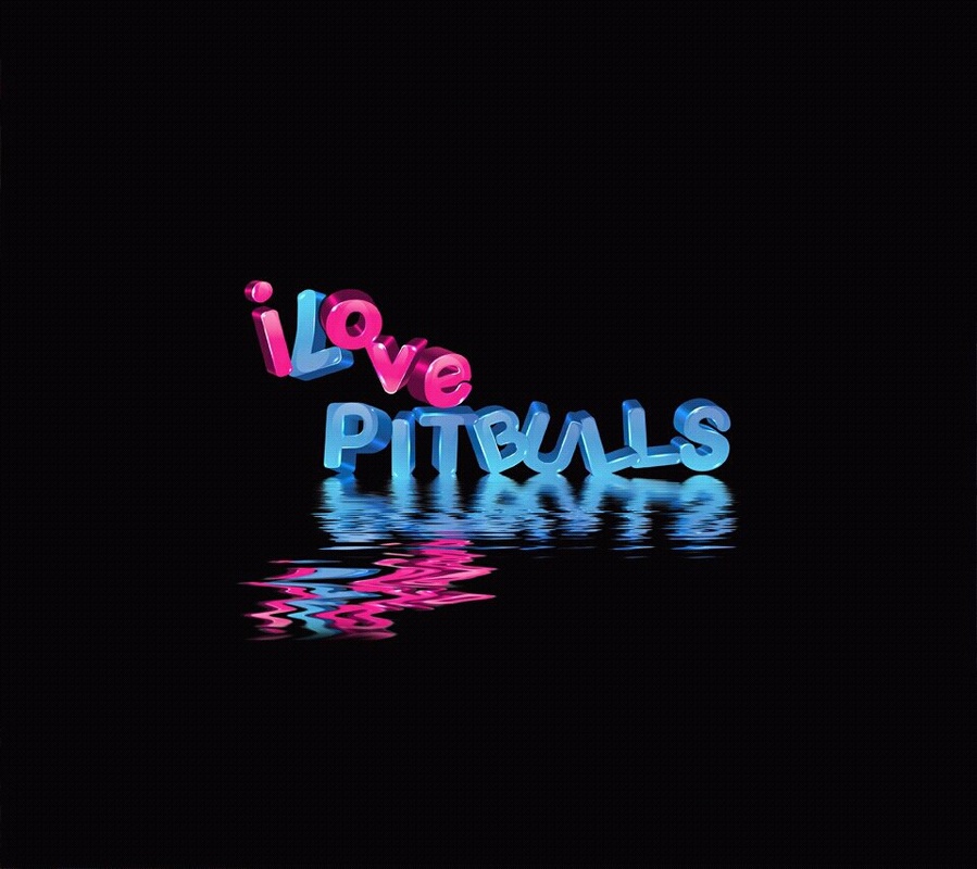 pitbull let's have the time of our lives quote