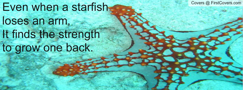 Starfish Quotes. QuotesGram