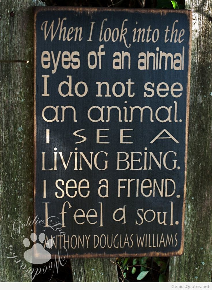 Animal Quotes For 2014. QuotesGram