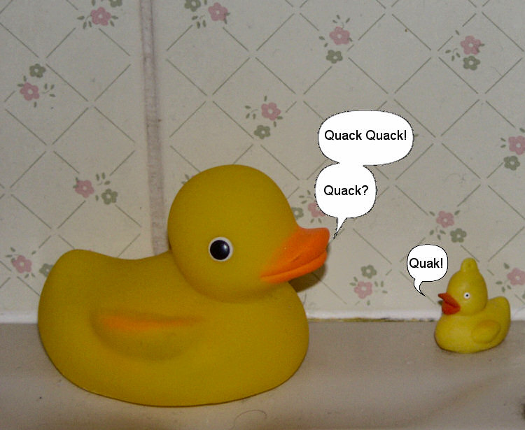 Real? quack is quack Quack