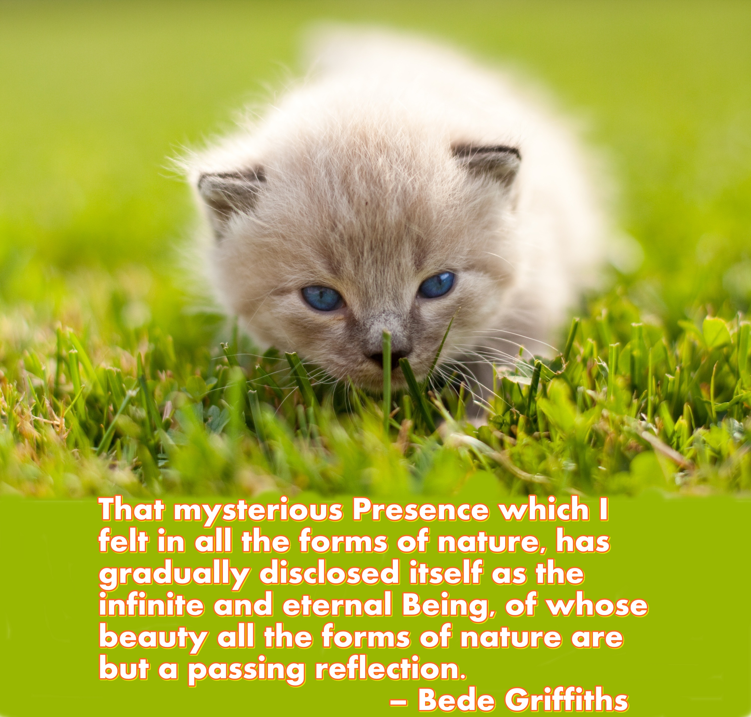 Bede Griffiths Quotes. QuotesGram
