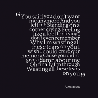 You Didnt Want Me Quotes Quotesgram You Didnt Want Me Quotes Quotesgram