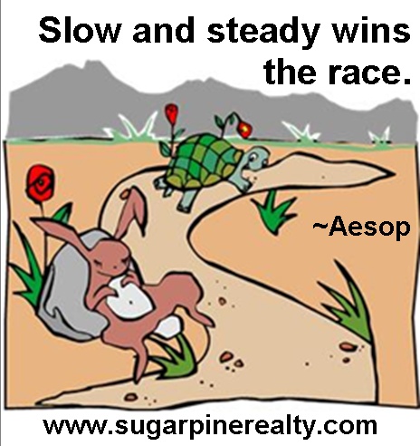 Slow But Steady Quotes QuotesGram Slow But Steady Quotes QuotesGram