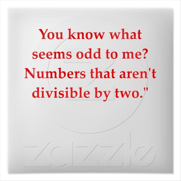 Stupid Math Quotes Quotesgram