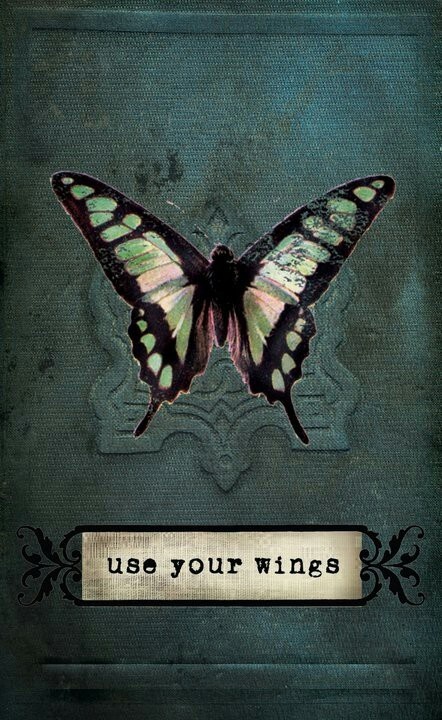 Spread Your Wings And Fly Quotes. QuotesGram