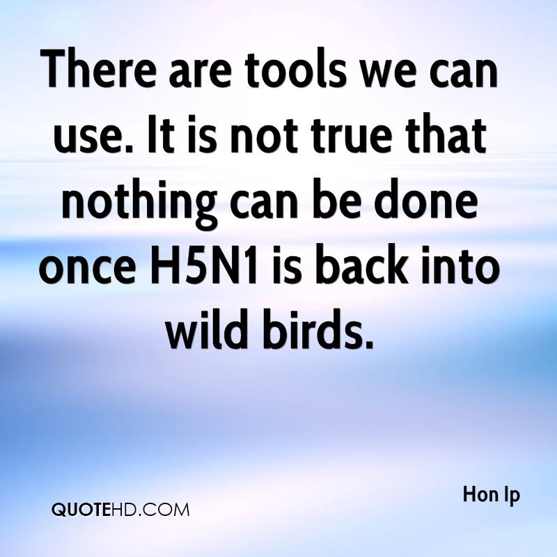 Quotes About Using Tools. QuotesGram