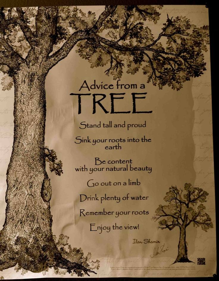 Tree Of Life Quotes And Sayings. QuotesGram