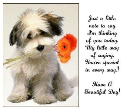 Thinking Of You This Morning Quotes. QuotesGram