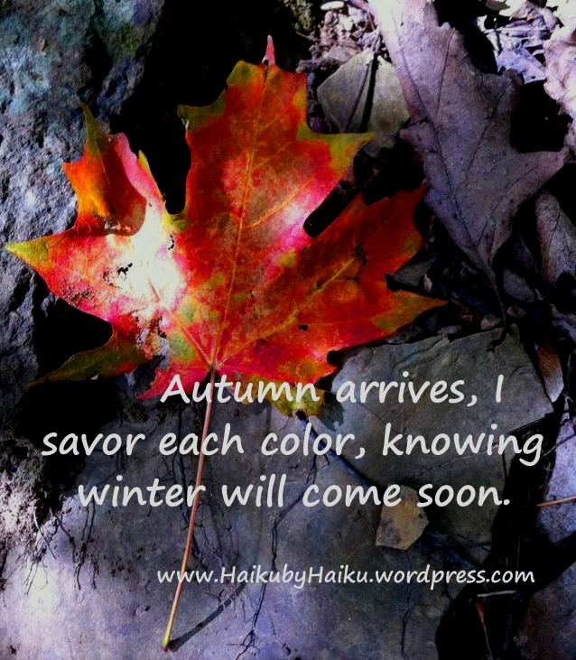 Autumn Leaf Quotes. QuotesGram