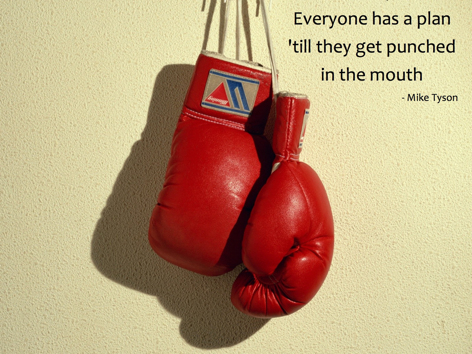 Funny Boxer Sayings And Quotes. QuotesGram