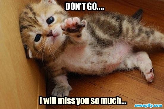 Leave Me Alone Quotes Funny Animals Funny Things. QuotesGram