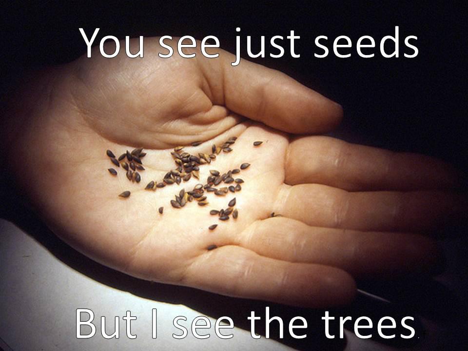 Inspirational Quotes About Seeds. QuotesGram
