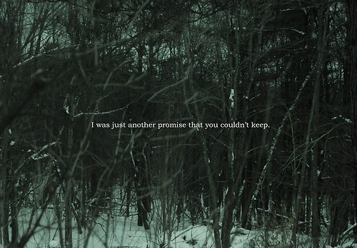 Forest Nature Quotes Quotesgram Forest Nature Quotes Quotesgram