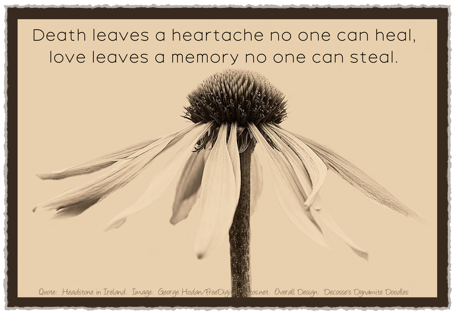 Death Leaves Quotes Inspiration. QuotesGram1553 x 1065
