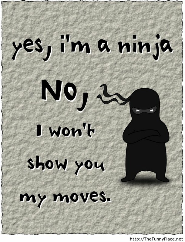 Ninja Quotes On Life. QuotesGram
