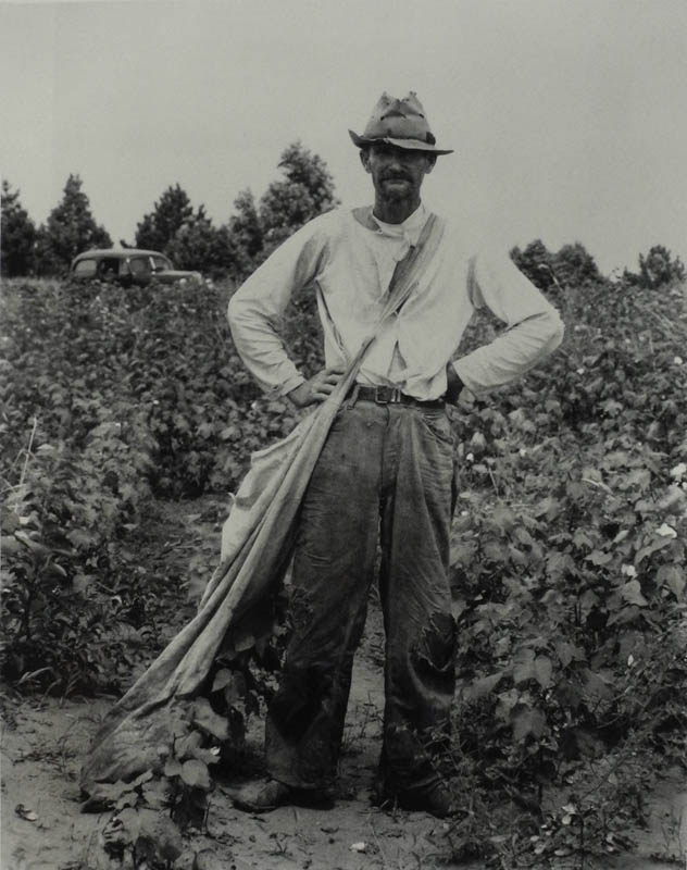 Cotton Fields Quotes. QuotesGram