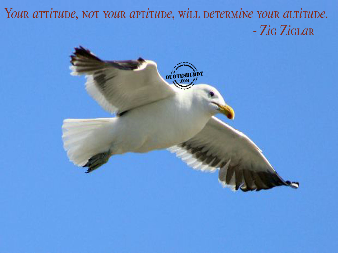 Attitude Graphic