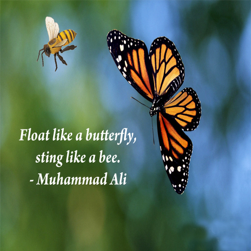 Like float butterfly like a sting bee a Muhammad Ali’s