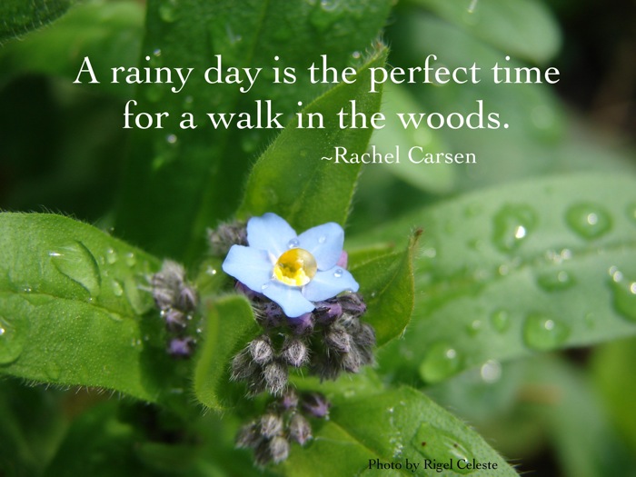 Inspirational Quotes About Rainy Days. QuotesGram