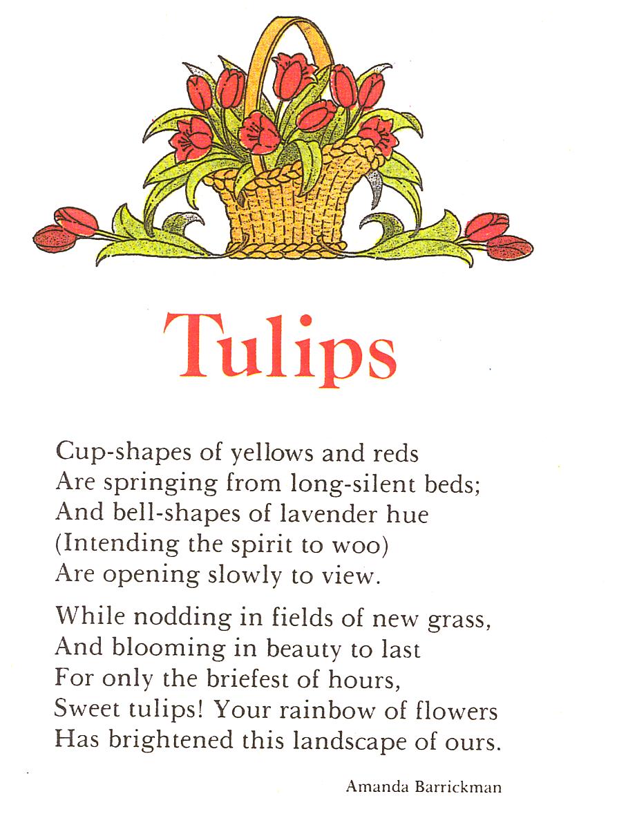 Famous Quotes About Tulips. QuotesGram