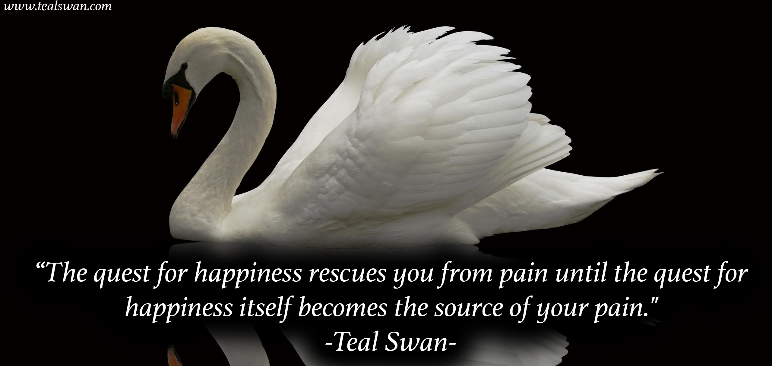 Quest Quotes. QuotesGram