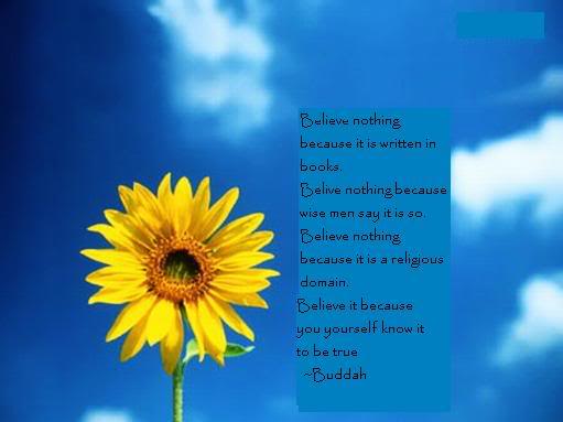 Sunflower From The Book Quotes. QuotesGram