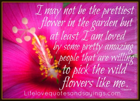 Pretty Flower Quotes. QuotesGram