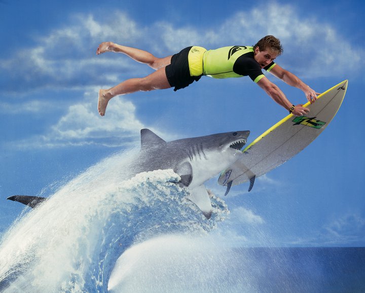 Funny Surfer Quotes. QuotesGram