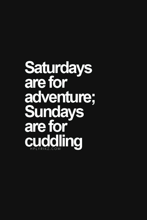 Ready To Have Fun Quotes Quotesgram