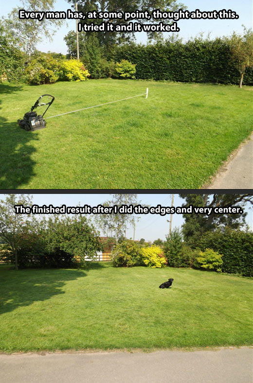 Funny Lawn Cutting Quotes.