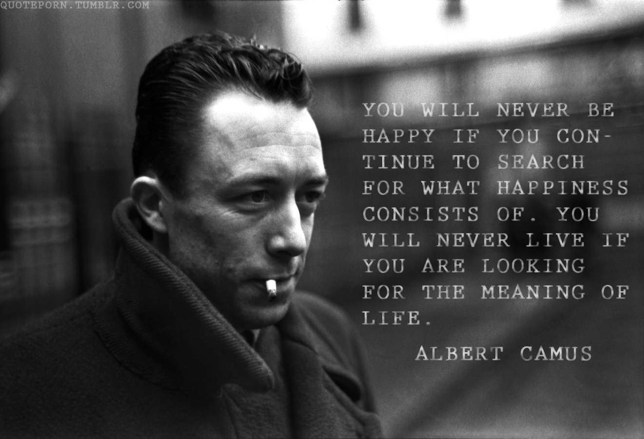Absurdism Philosophy Quotes Quotesgram