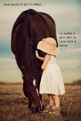 Girl And Her Horse Quotes. QuotesGram