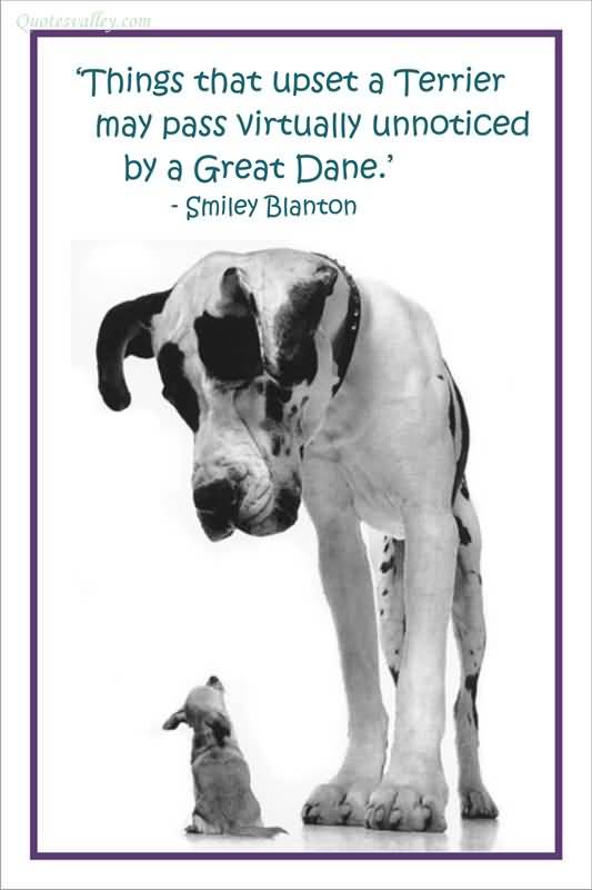Great Dane Quotes. QuotesGram