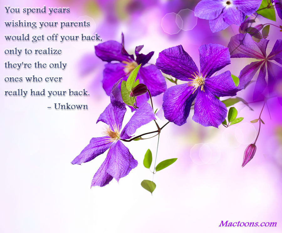  Quotes  About Purple  Flowers  QuotesGram