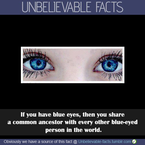People With Blue Eyes Quotes Quotesgram People With Blue Eyes Quotes Quotesgram